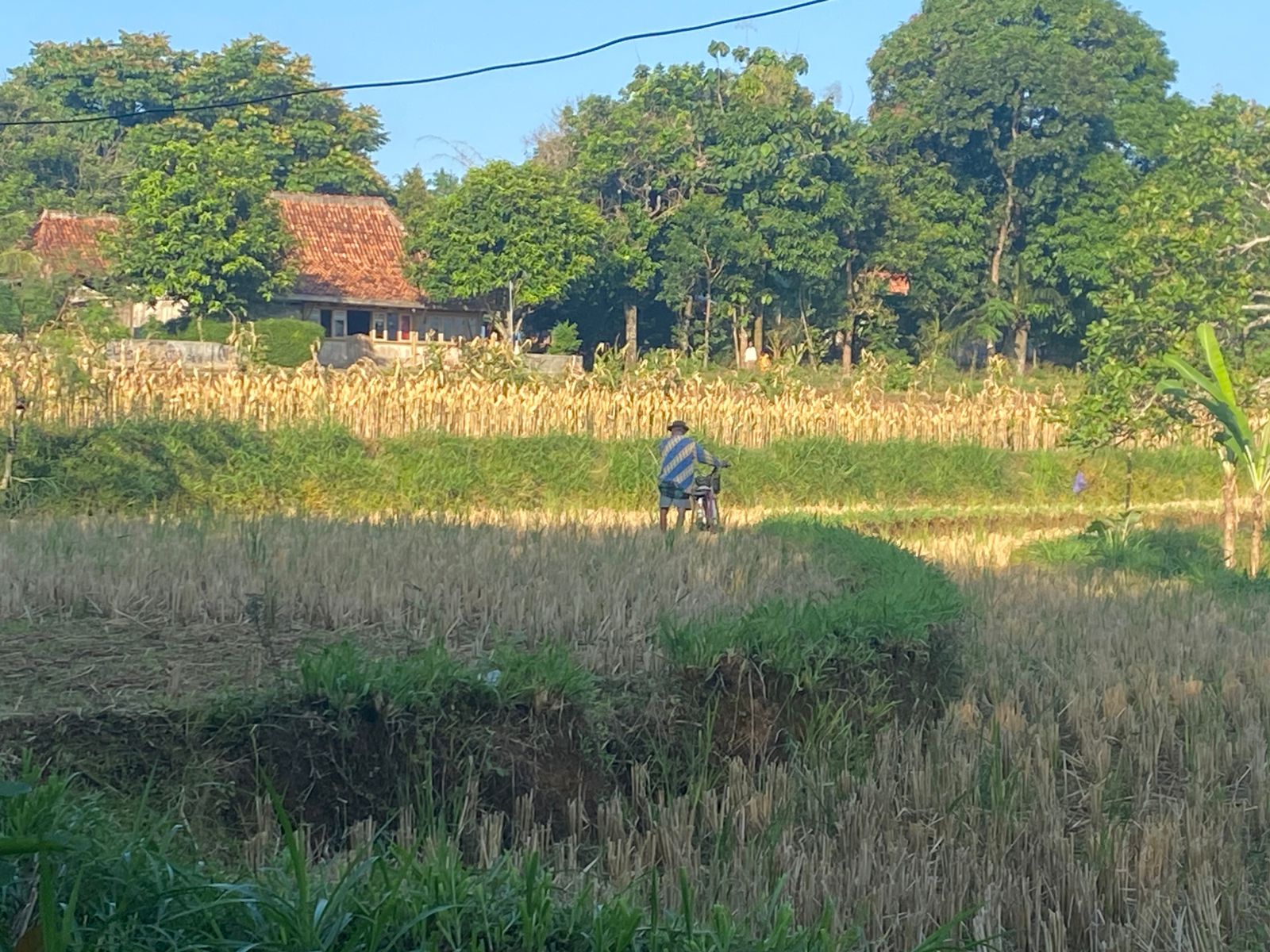 Desa Dalangan